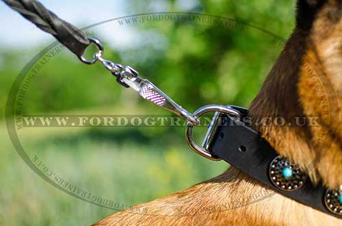 Leather Dog Collar for Belgian Shepherd