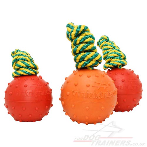 Best dog rubber ball for small dog