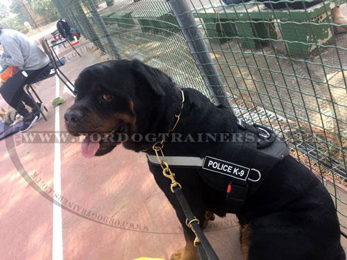 Reflective dog harness for Rottweiler