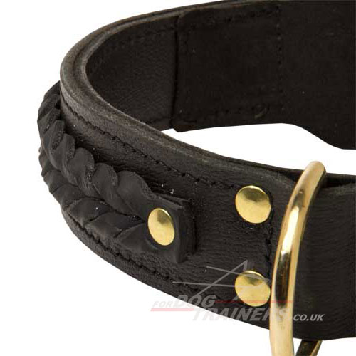 Braided dog collar for Belgian Shepherd