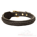 braided dog collar