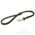 braided dog lead