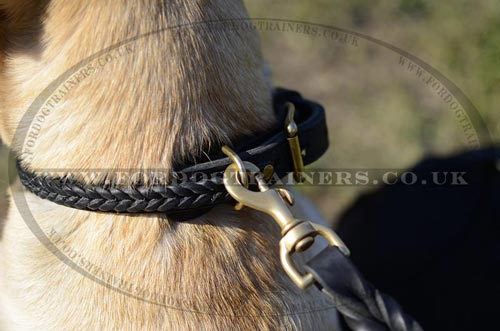 Braided Leather Dog Collar for Labrador