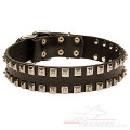 caterpillar dog collar