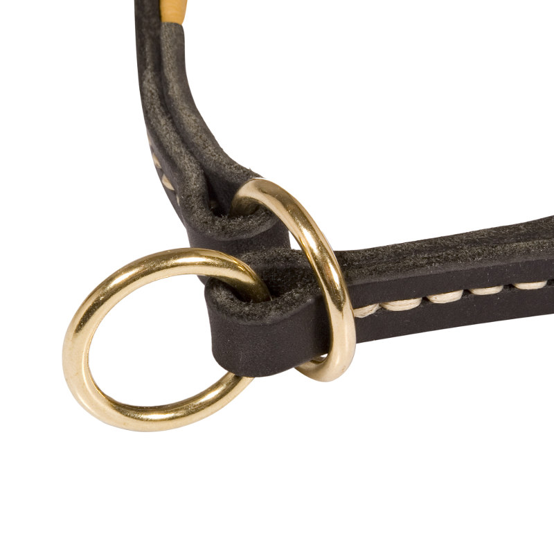 puppy choke collar leather collar soft padded choke collar puppy choke collar leather collar soft padded choke collar