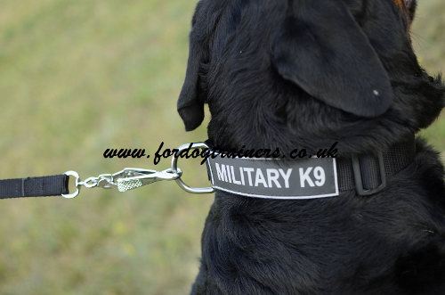 Nylon dog collar for Rottweiler