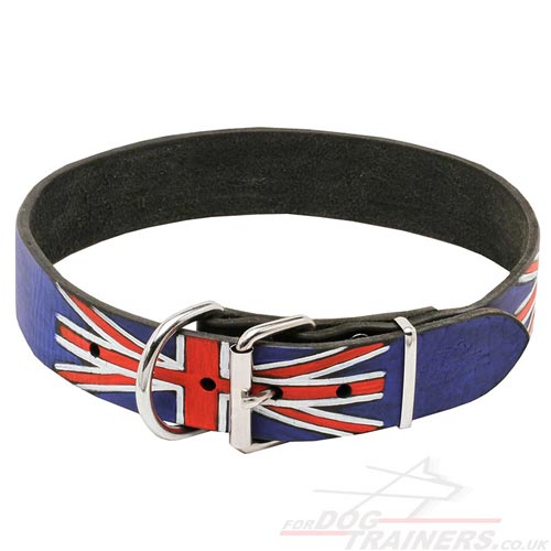dog collar UK