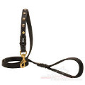 designer dog lead
