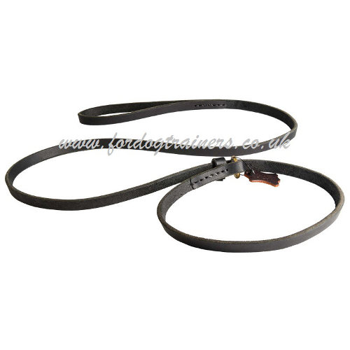 leather dog collar and lead set