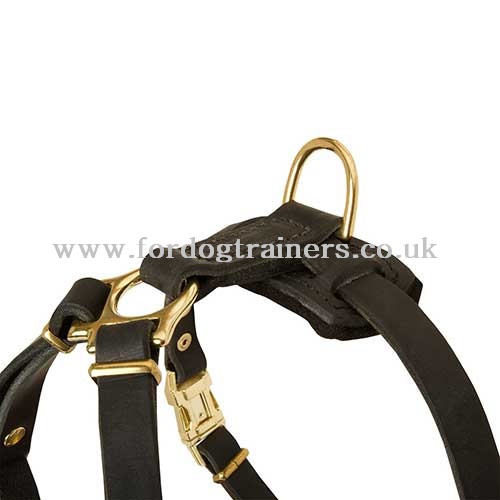 Small dog harness of natural leather