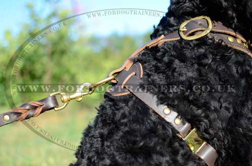 Black Russian Terrier harness