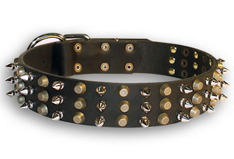 Exclusive leather dog collar with spikes-pyramids design ...