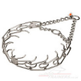 prong collar stainless steel