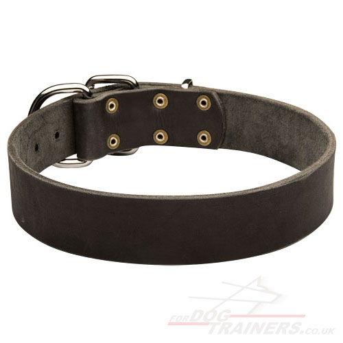 Leather Dog Collar for Malinois