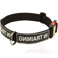 dog training collar