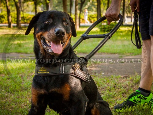 Service Dog Harness for Blind