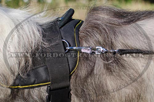 Nylon Harness for Dogs Sport