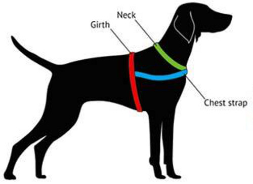 how to measure dog harness
