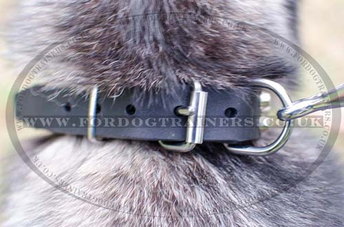 Husky collar