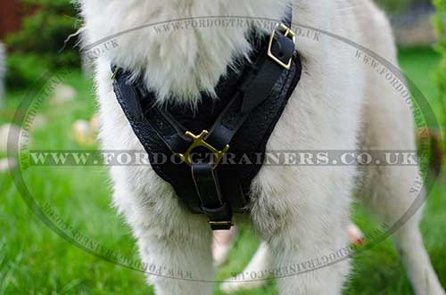 Siberian Husky Dog Harness