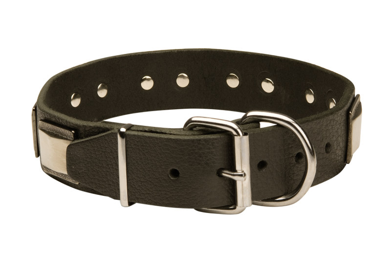 Dog Collars Leather with Plates | Swiss Mountain Dog ...