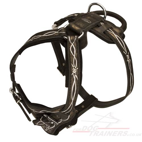 Leather dog harness with handle