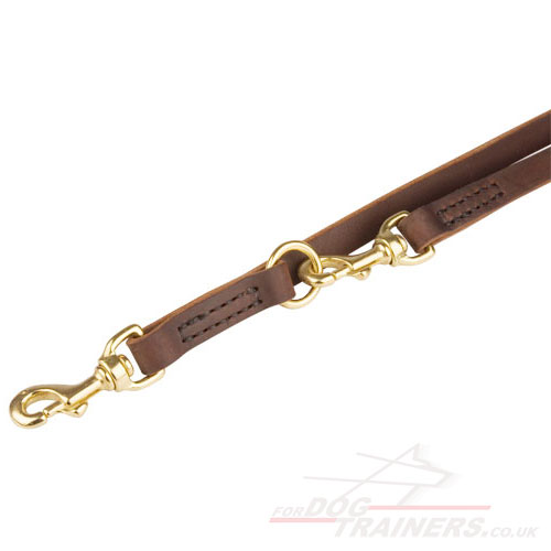 Best Leather Dog Lead with Brass Fittings