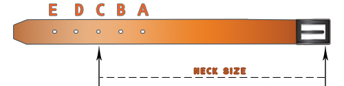 choose the correct dog collar size