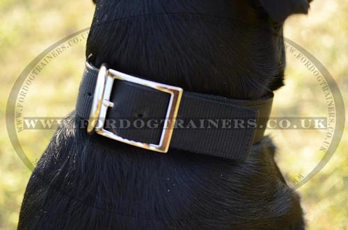 Nylon Dog Collar for Labrador