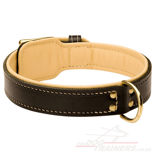 leather nappa padded dog collar