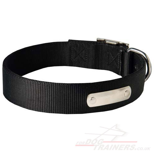 Personalized Nylon Dog Collar with Nameplate