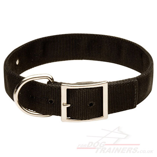 Dog Collar with Nameplate