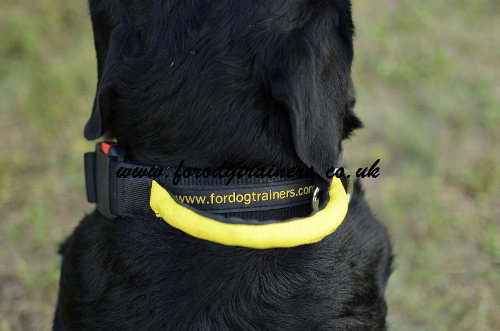 Rottweiler collars with handle