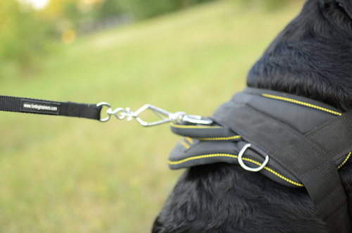 Nylon dog harness