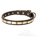 small dog collar necklace