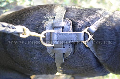 Soft padded dog harness for large dog
