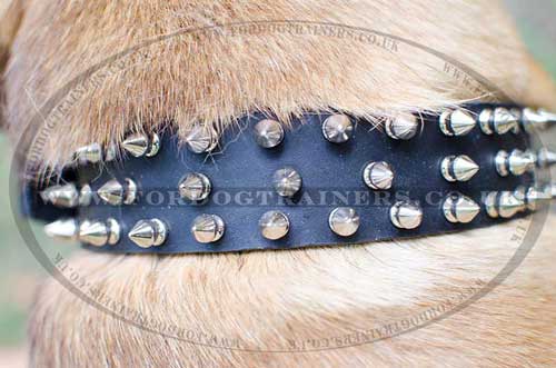 Spiked Dog Collars