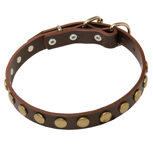 puppy leather collar