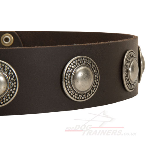 Leather Collars for Dogs Like Shar Pei Dog Breed