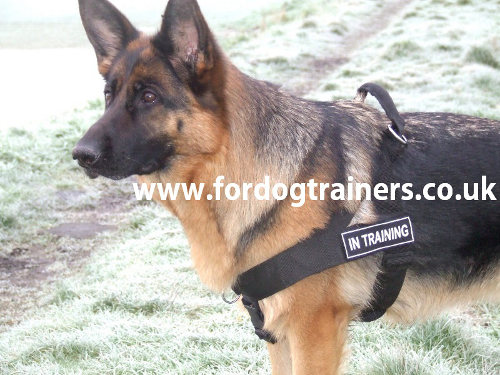 German Shepherd Harness UK