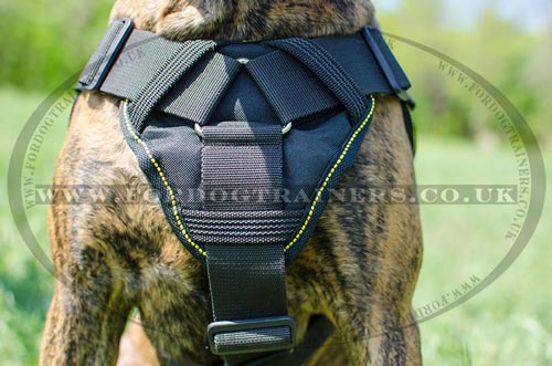 Padded Nylon Dog Harness