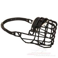 The Best Basket Dog Muzzle for Boxer