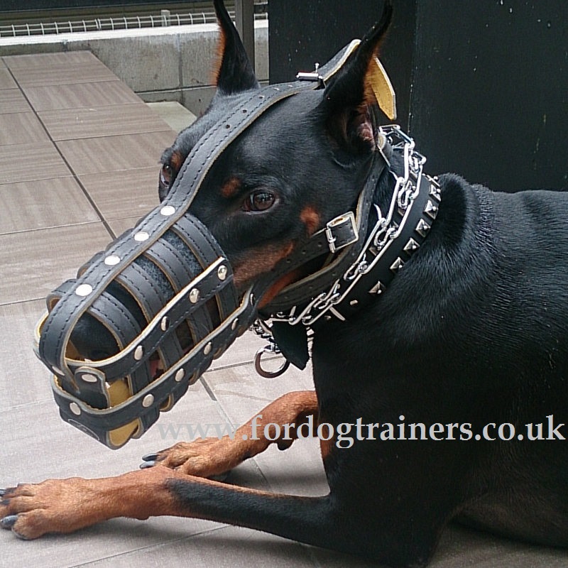 Leather Dog Muzzle Soft Padded Leather Muzzle for Dogs Comfort