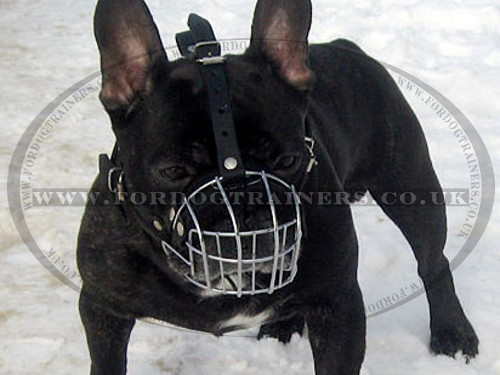 French Bulldog Basket Muzzle for Flat Nose Dog