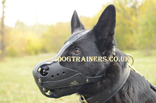 German Shepherd K9 Dog Training Muzzle