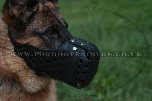 Leather Police Dog Muzzle for K9 Training