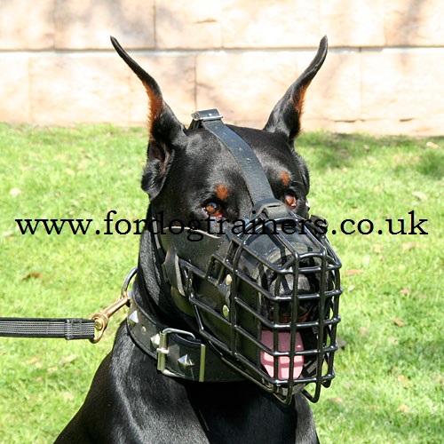Leather Padded Dog Muzzle Basket