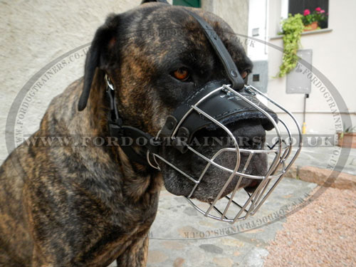 Cane Corso Muzzle Basket for Large Dogs
