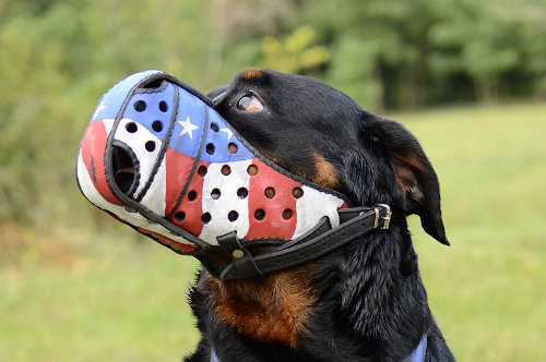 Dog Muzzle for Rottweiler