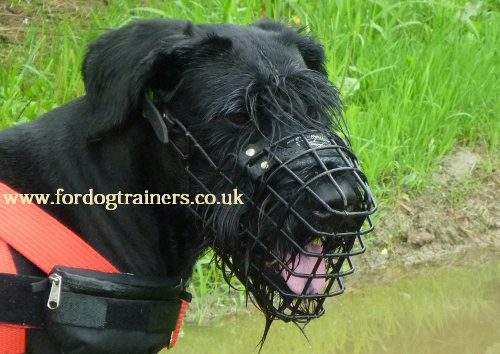 Basket Dog Muzzle UK